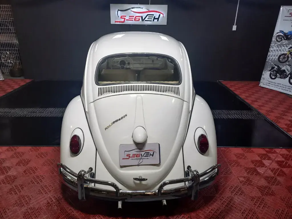 WhatsApp Image 2026-01-31 at 1.12.08 PM (1).webp