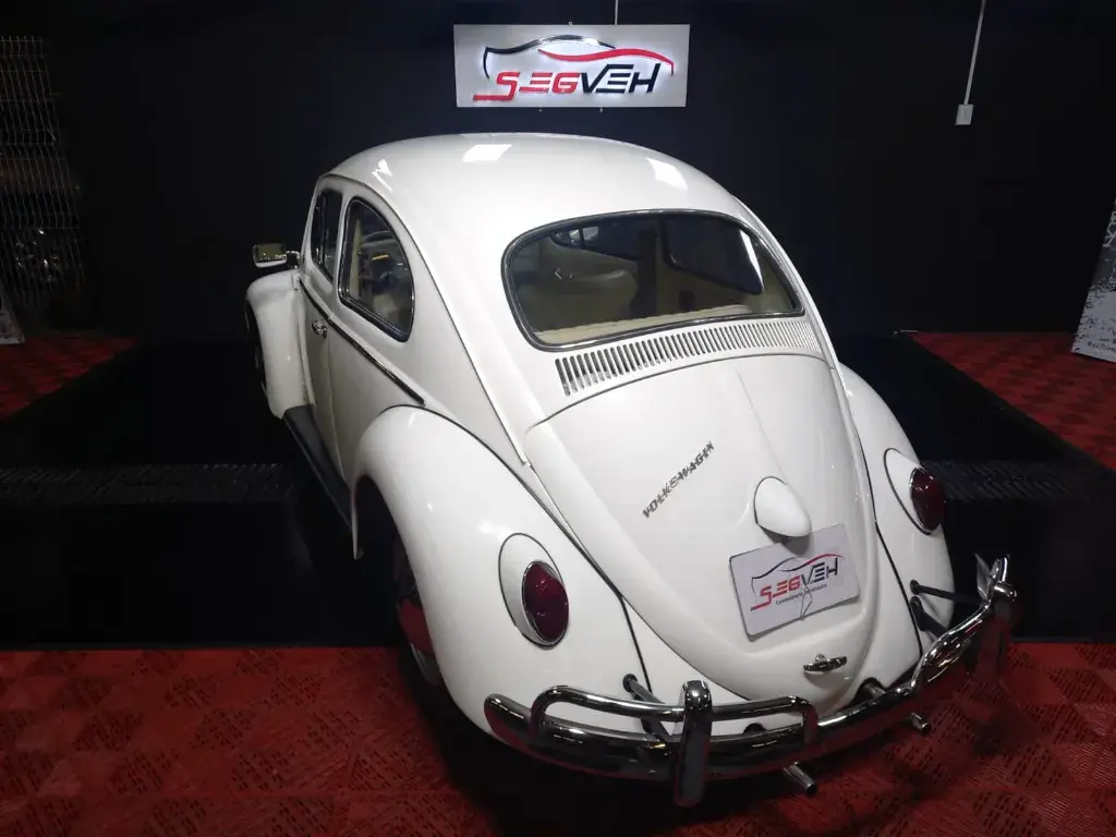 WhatsApp Image 2026-01-31 at 1.12.07 PM.webp