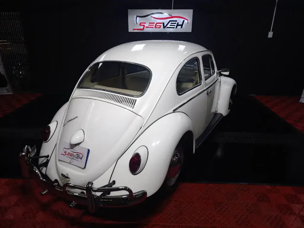 WhatsApp Image 2026-01-31 at 1.12.07 PM (1).webp