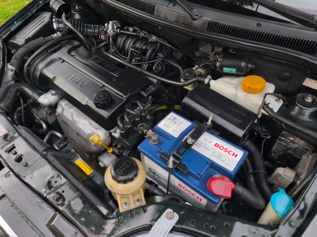 WhatsApp Image 2026-02-14 at 4.06.16 PM.webp