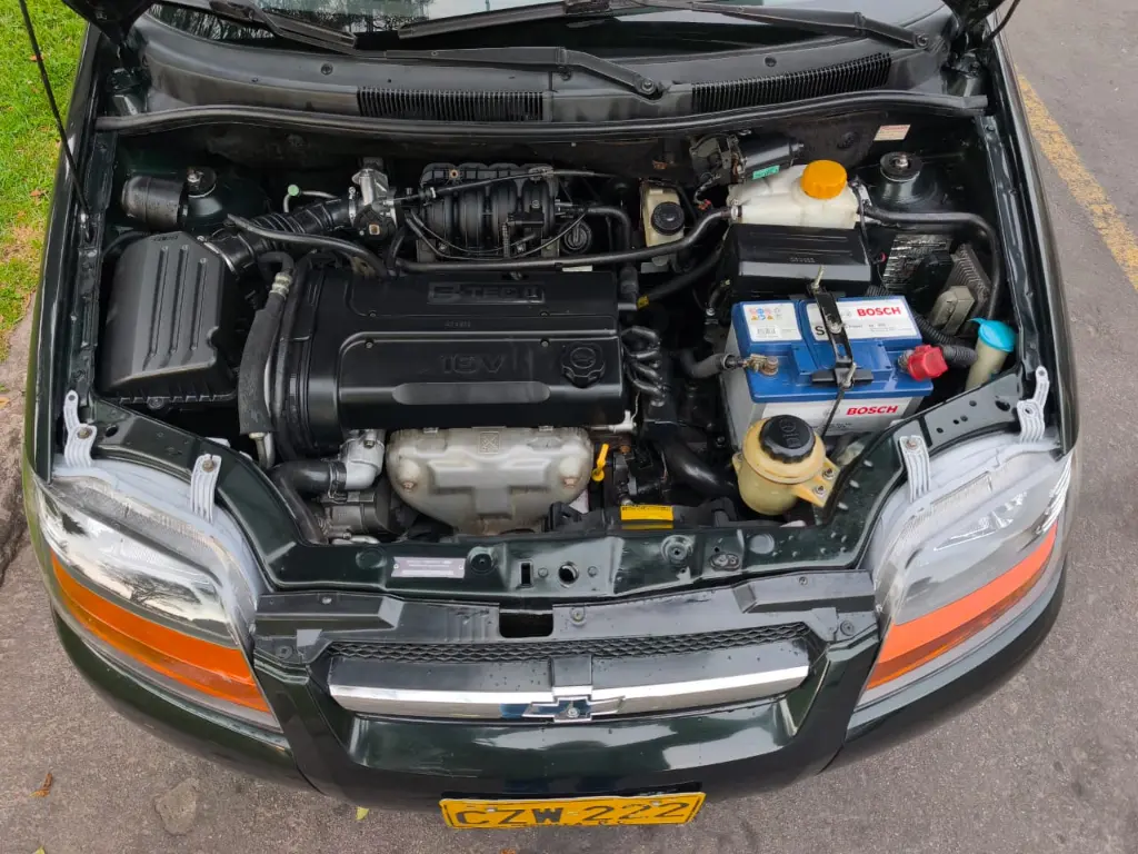 WhatsApp Image 2026-02-14 at 4.06.17 PM (2).webp