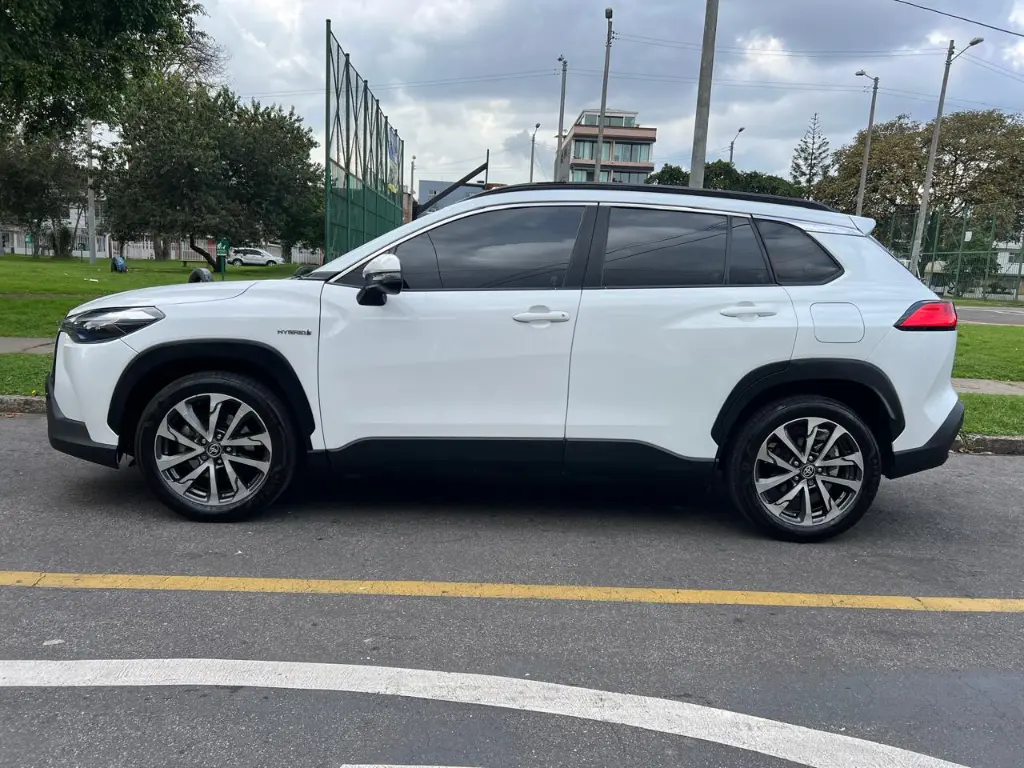 WhatsApp Image 2026-03-13 at 6.11.42 PM (3).webp