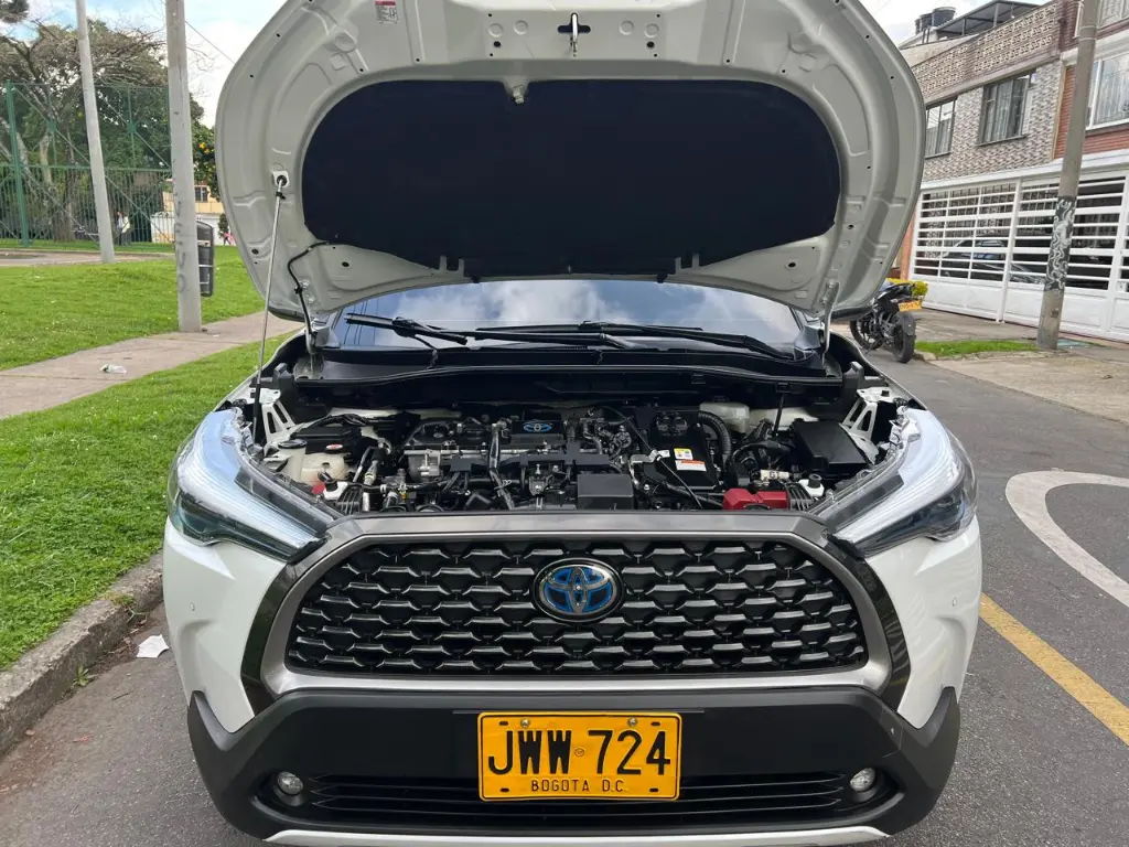 WhatsApp Image 2026-03-13 at 6.11.44 PM (3).webp