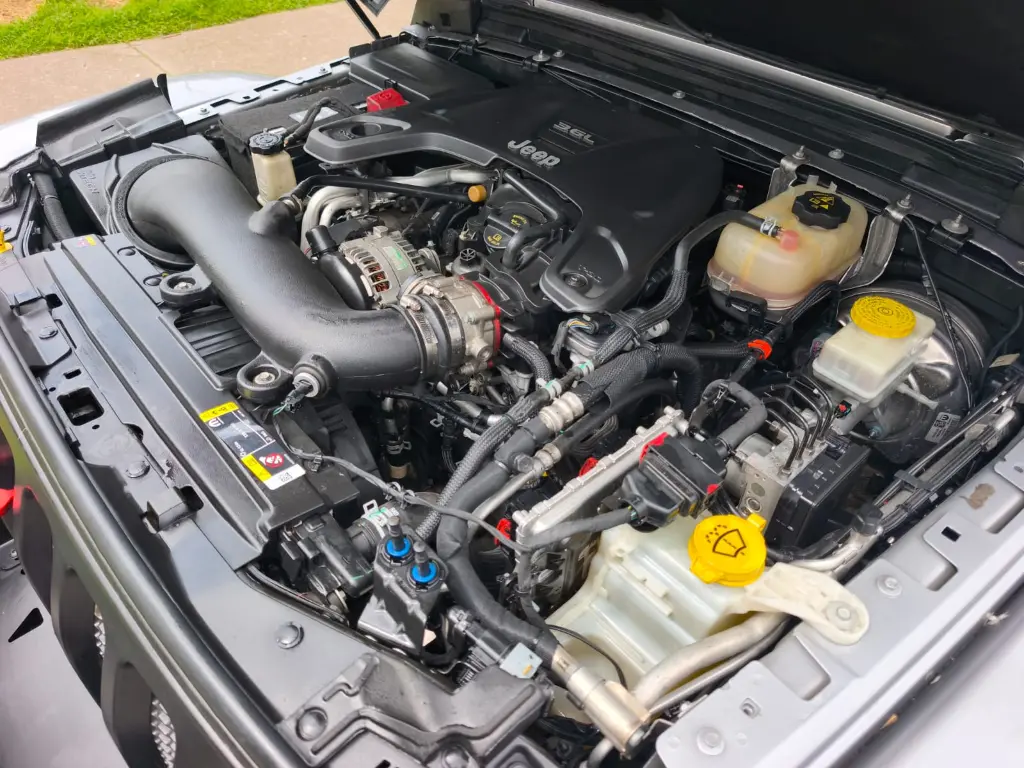 WhatsApp Image 2026-03-13 at 6.18.03 PM (1).webp