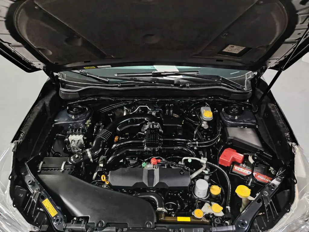 WhatsApp Image 2026-04-04 at 12.30.53 PM (1).webp