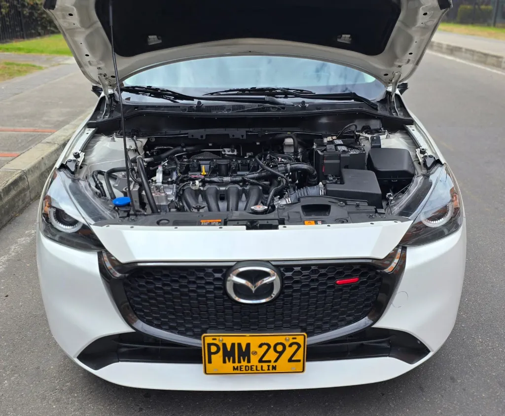 WhatsApp Image 2026-04-15 at 10.05.46 AM (1).webp