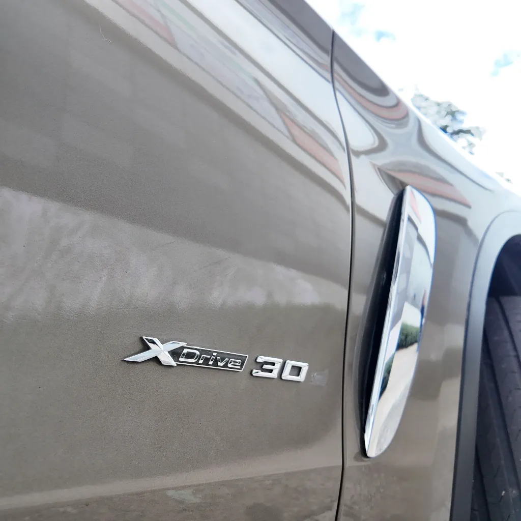 BMW X6 Xdrive30d Premium, 2018 (21).webp