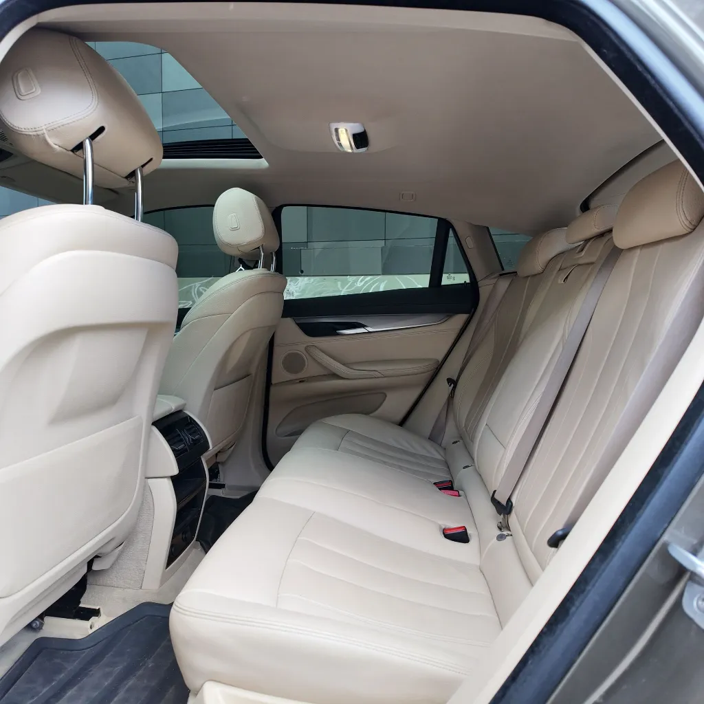 BMW X6 Xdrive30d Premium, 2018 (18).webp
