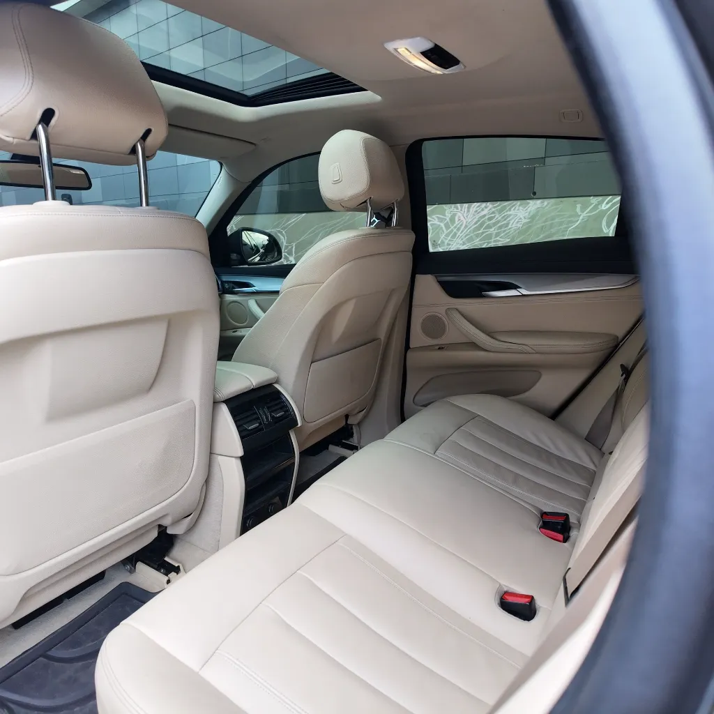 BMW X6 Xdrive30d Premium, 2018 (10).webp