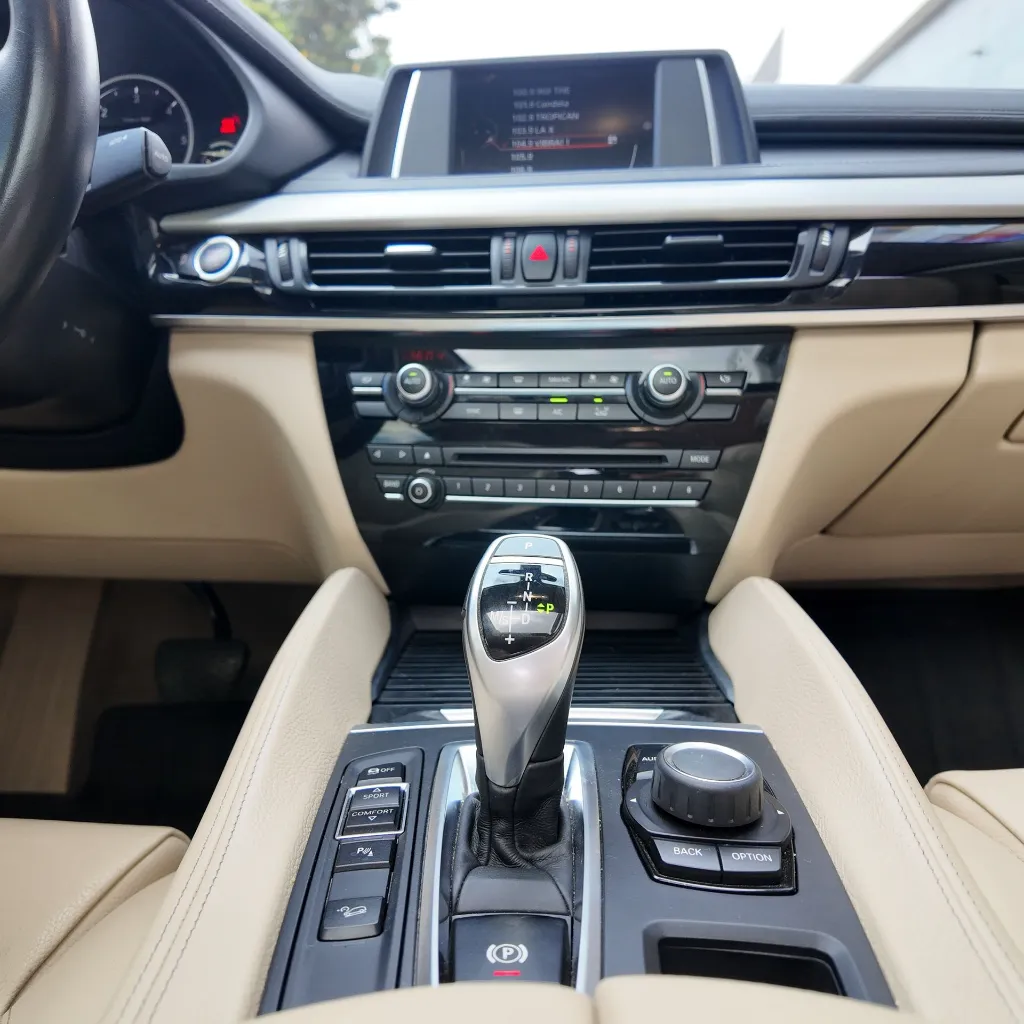 BMW X6 Xdrive30d Premium, 2018 (13).webp
