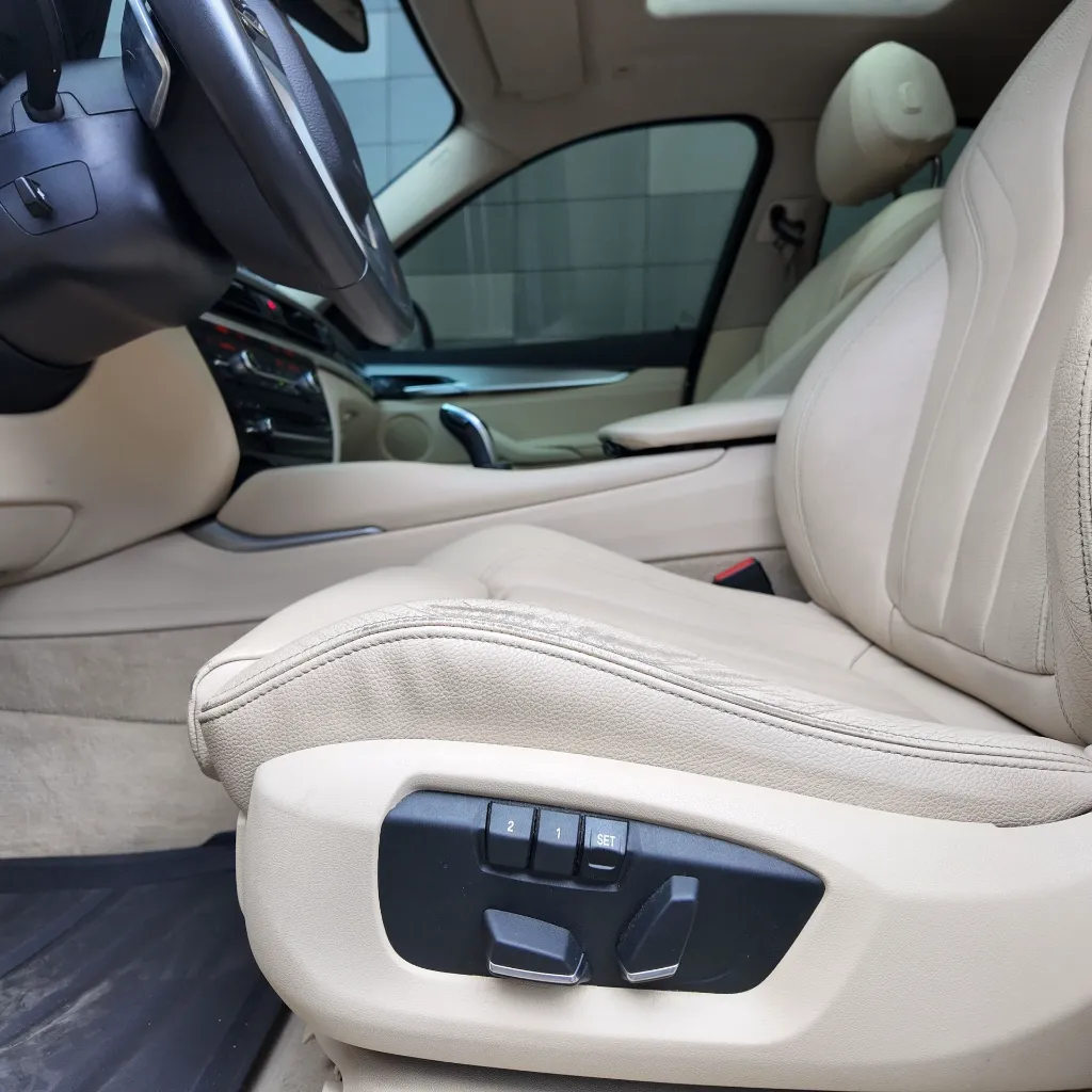 BMW X6 Xdrive30d Premium, 2018 (17).webp