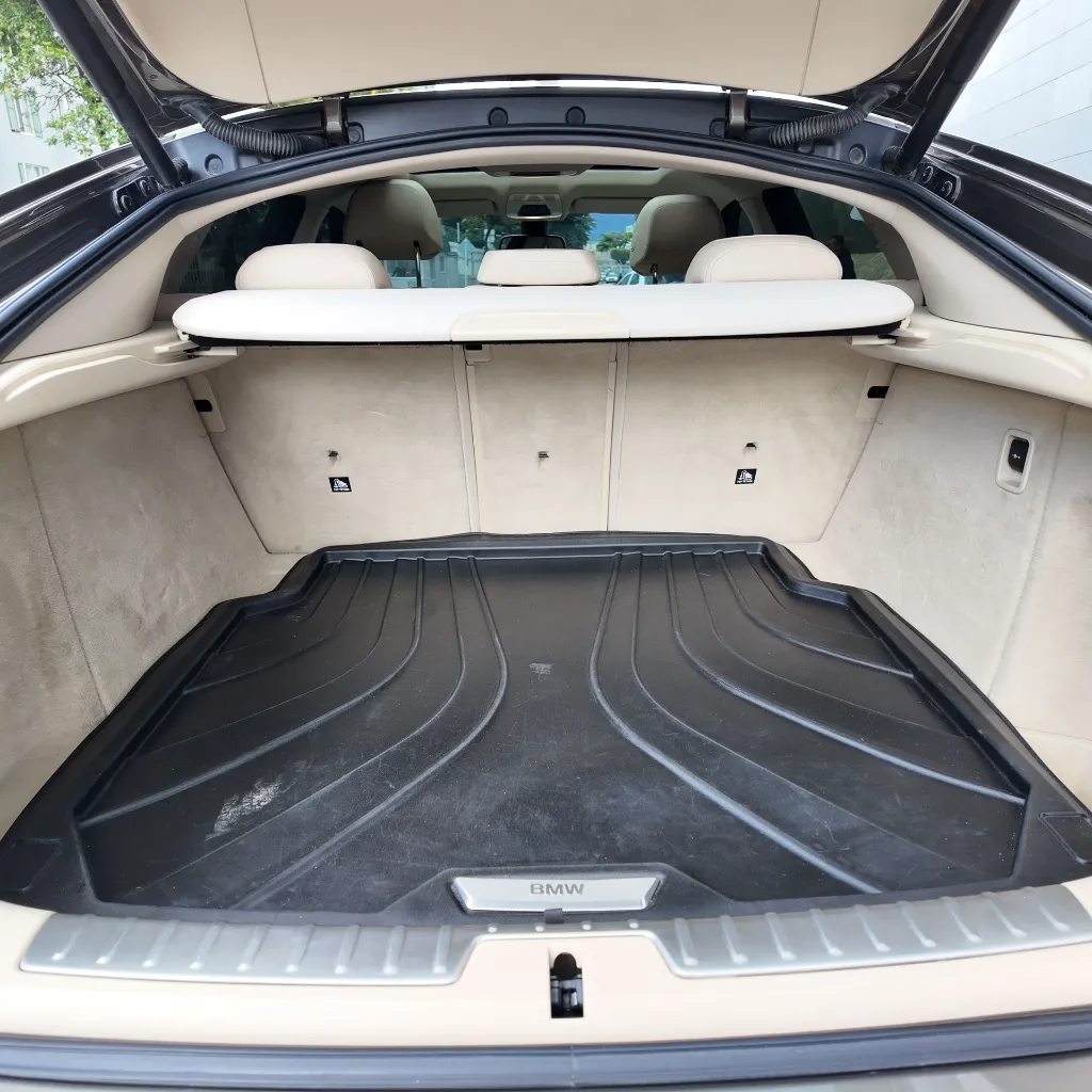 BMW X6 Xdrive30d Premium, 2018 (3).webp