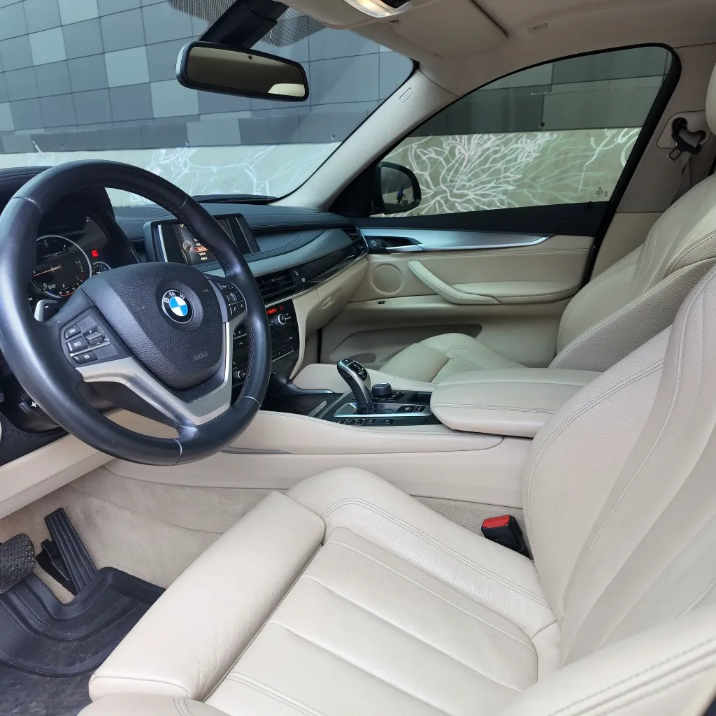 BMW X6 Xdrive30d Premium, 2018 (16).webp