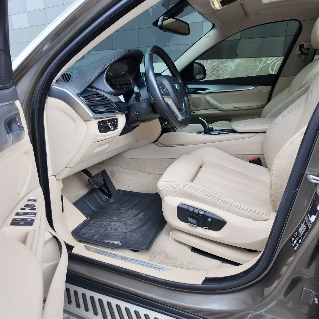 BMW X6 Xdrive30d Premium, 2018 (9).webp