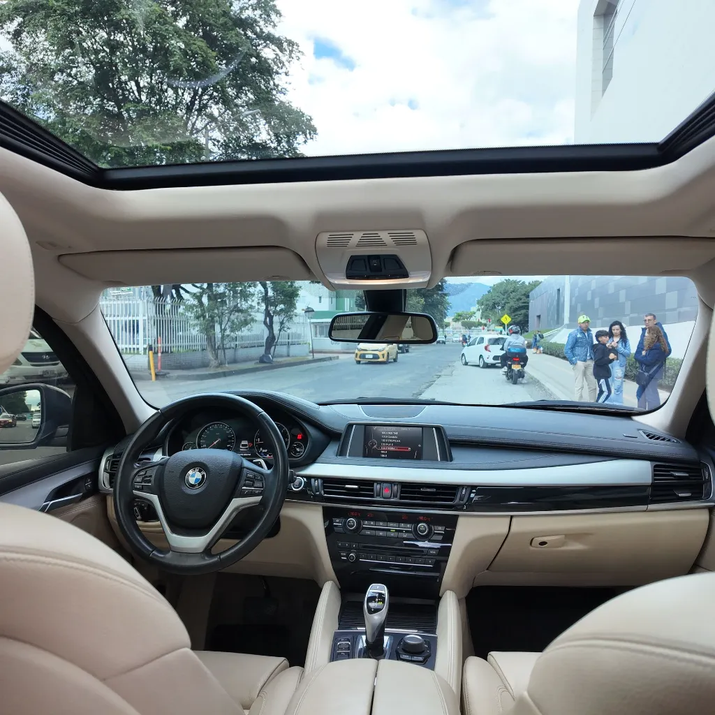BMW X6 Xdrive30d Premium, 2018 (20).webp