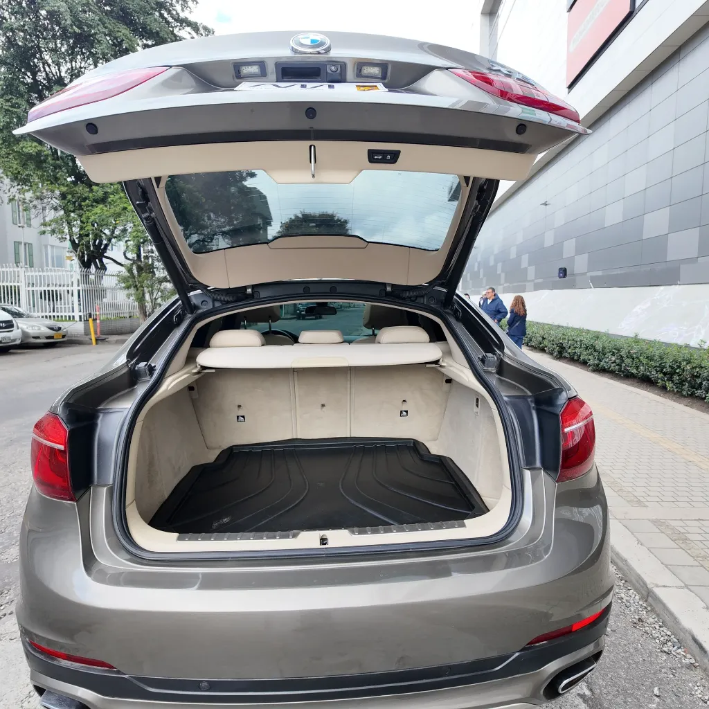 BMW X6 Xdrive30d Premium, 2018 (11).webp