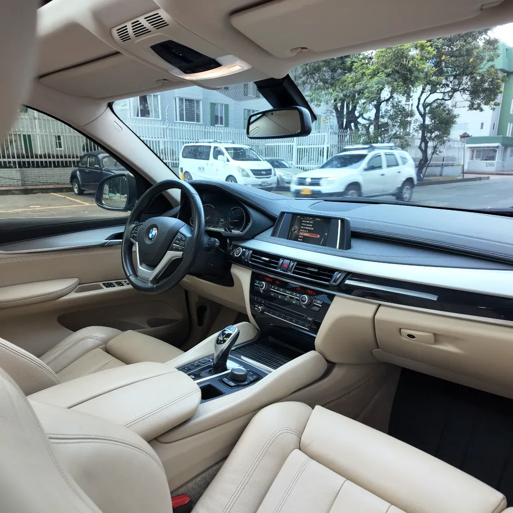 BMW X6 Xdrive30d Premium, 2018 (19).webp