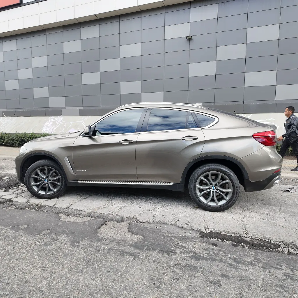 BMW X6 Xdrive30d Premium, 2018 (15).webp