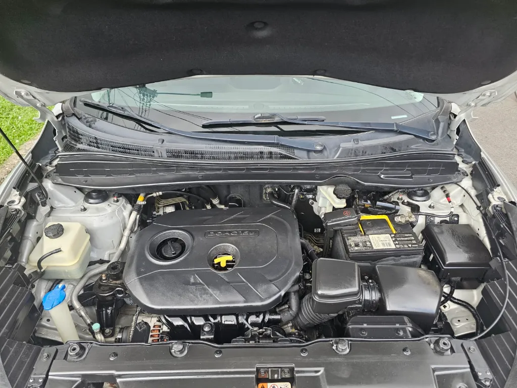 WhatsApp Image 2026-04-21 at 5.10.13 PM (2).webp