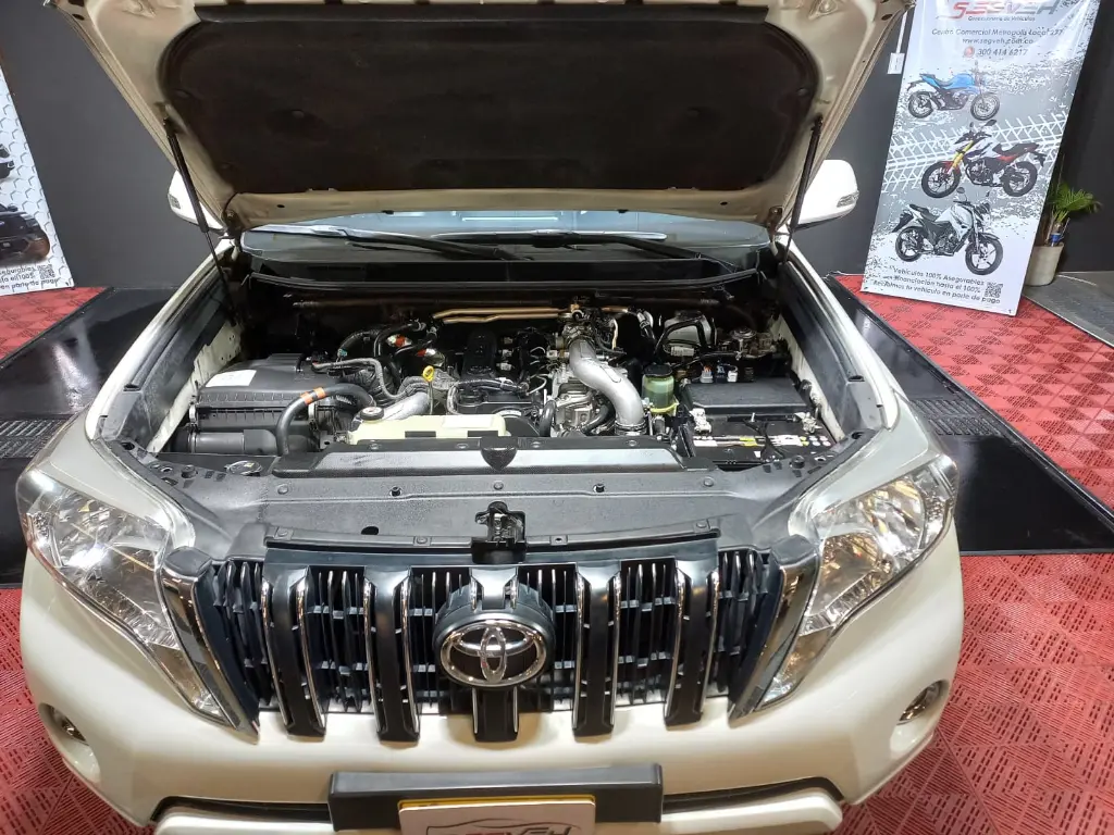 WhatsApp Image 2025-10-30 at 1.51.32 PM.webp