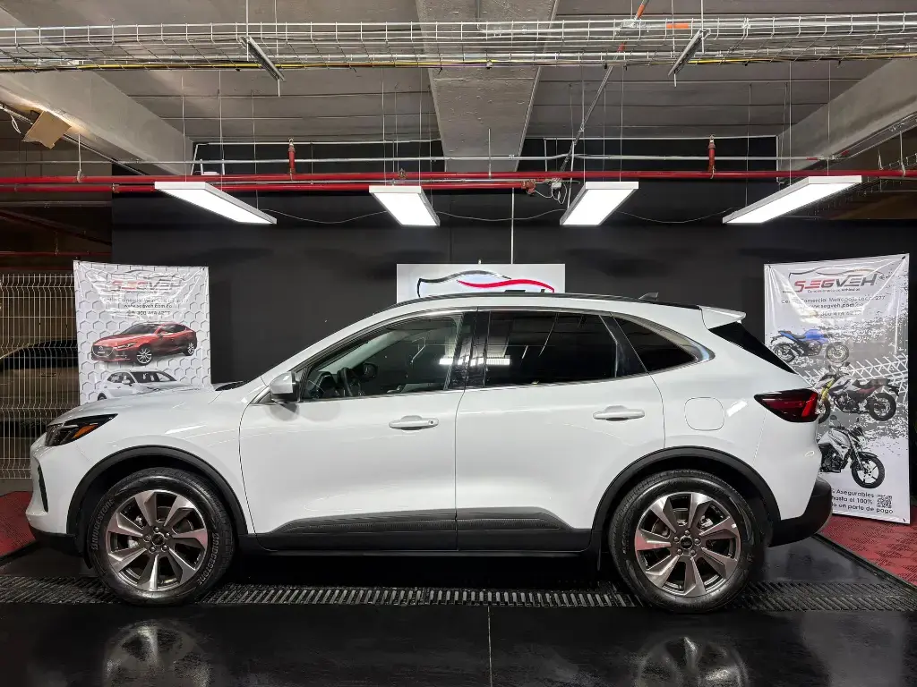 WhatsApp Image 2025-08-25 at 2.27.49 PM (2).webp