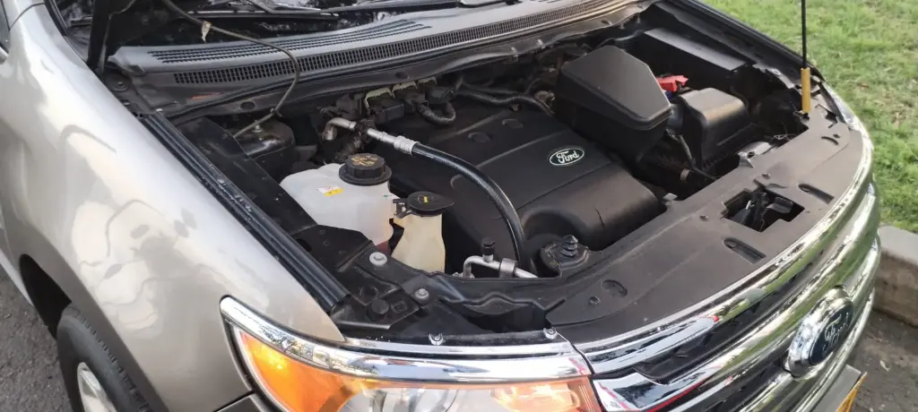 WhatsApp Image 2025-11-11 at 6.18.02 PM (1).webp