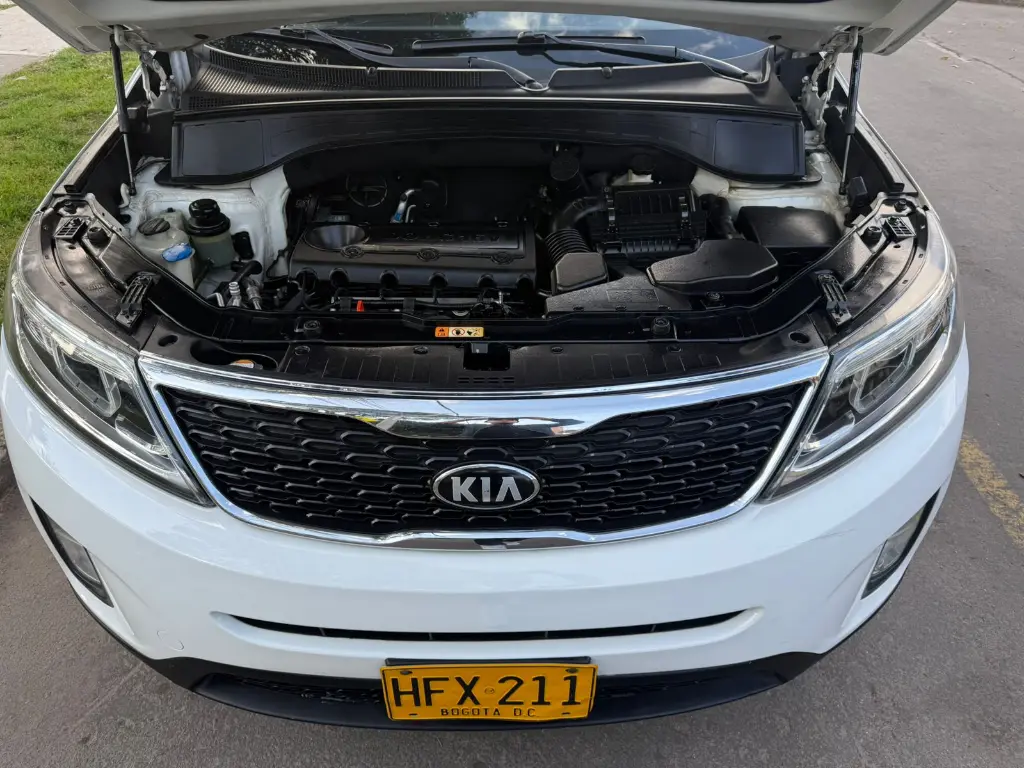 WhatsApp Image 2025-10-18 at 2.49.00 PM.webp