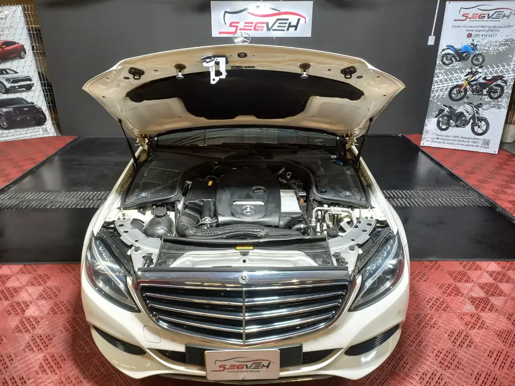 WhatsApp Image 2025-12-13 at 1.09.17 PM (1).webp