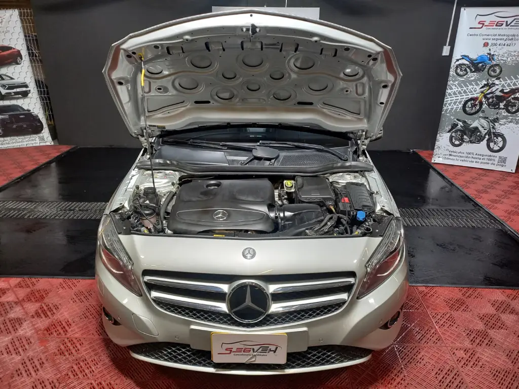 WhatsApp Image 2025-12-22 at 6.03.49 PM (3).webp